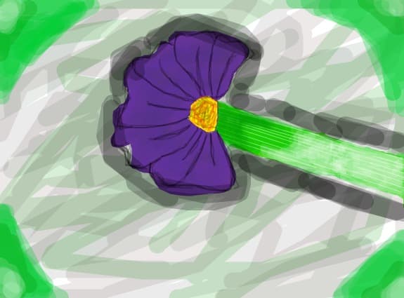 floare de munte