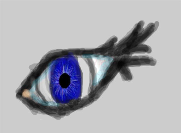 eye
