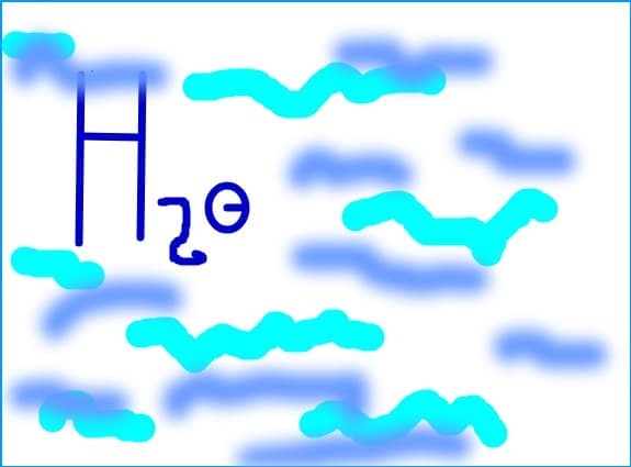 H2O