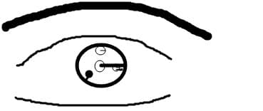 un ochi sharingan