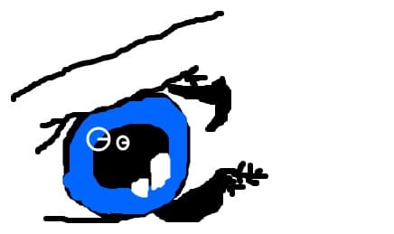 ochi