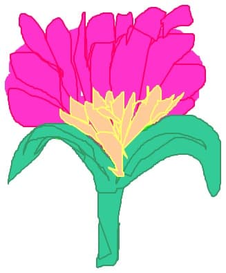 floare de kiki