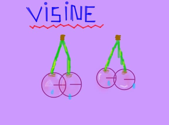 ,,Visine''