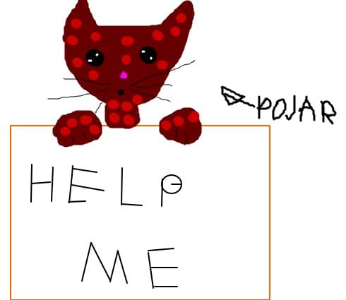 Help me