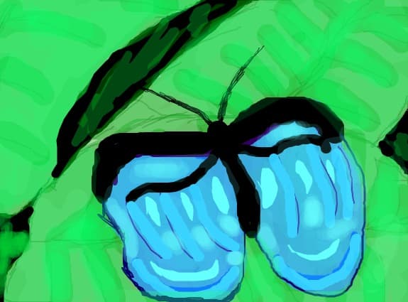 blue-morpho-amathonte!!