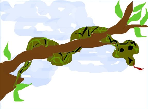 snake
