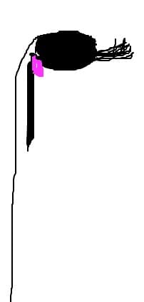 micuta