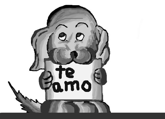 Desen 9419 modificat:te amo