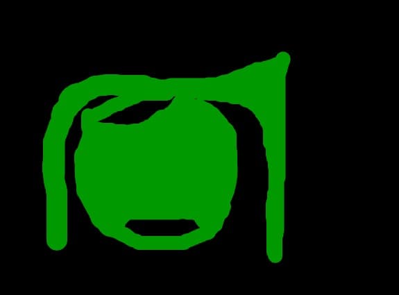 ochi