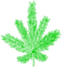 MaRiJuAnA