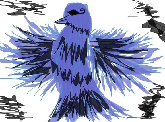 bird