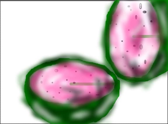 Pepene