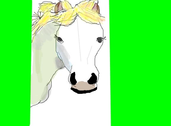 horse