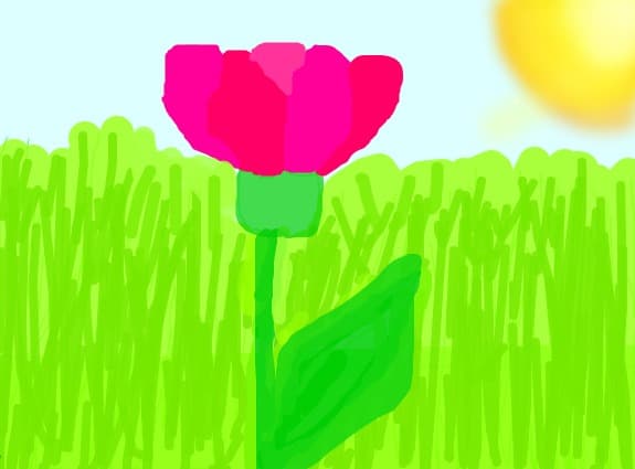 O floare