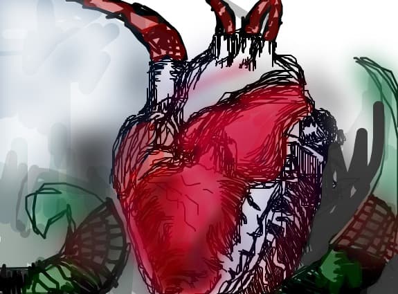 heart
