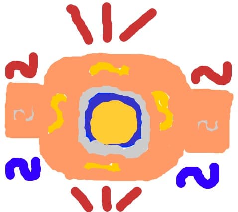 ochi