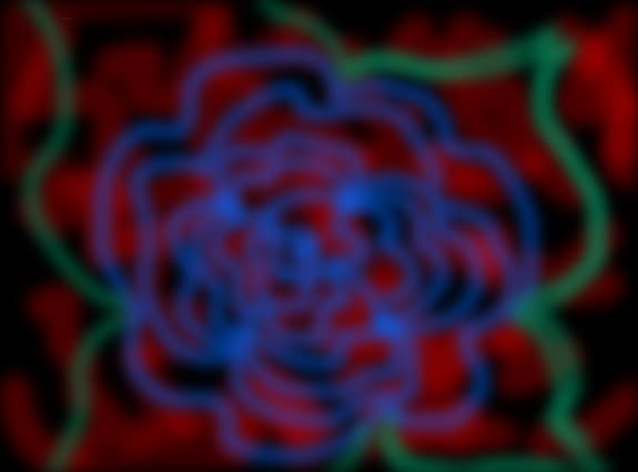 Blue Rose