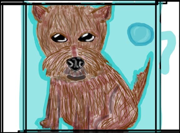 caine2