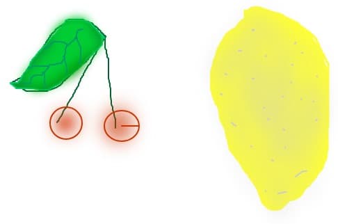 Fructe