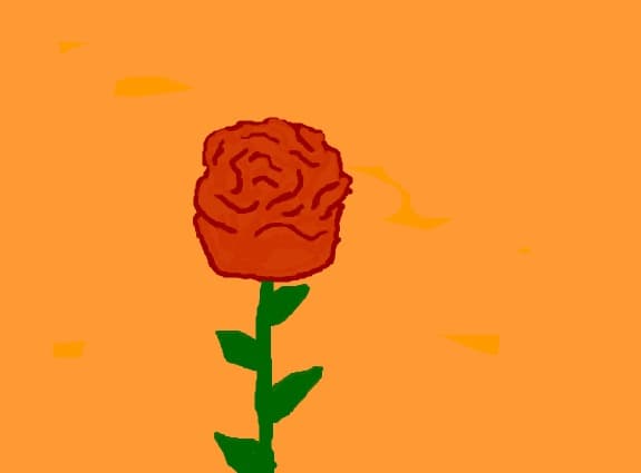 trandafiri