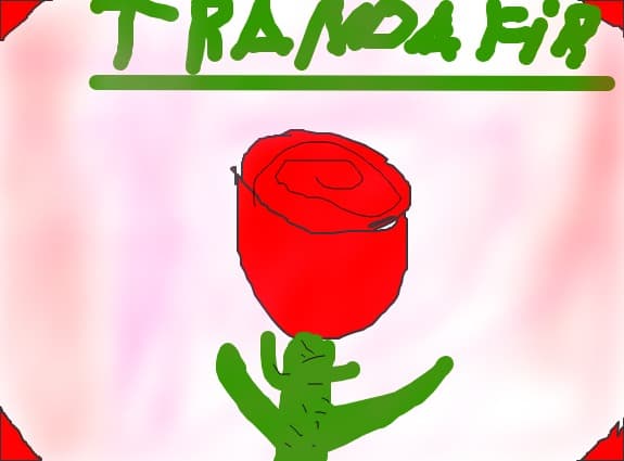 T_r_a_n_d_a_f_i_r