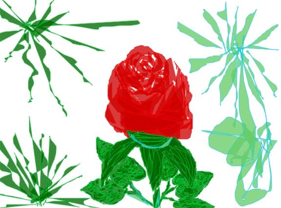 a rose