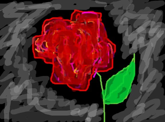Rose