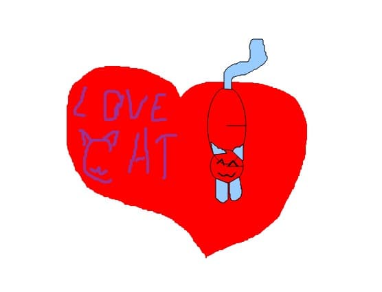 love cat