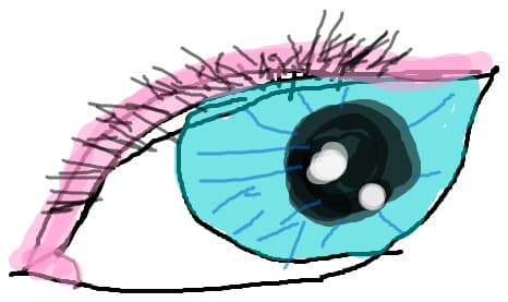 ochi