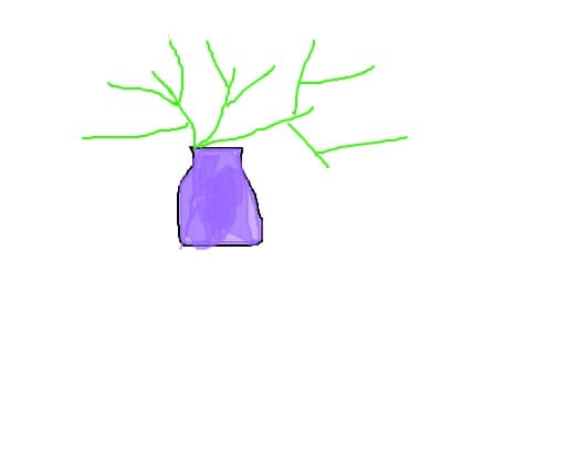 stelute