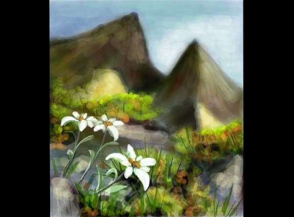 ...floare de colt...