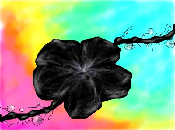 Black Beauty