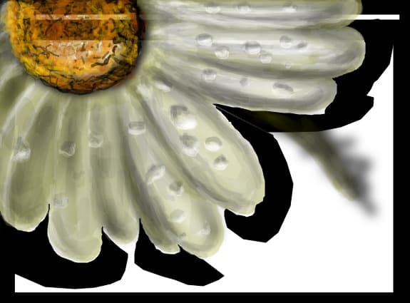 floricele pe campiii