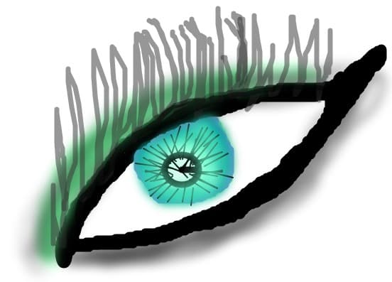 Eye