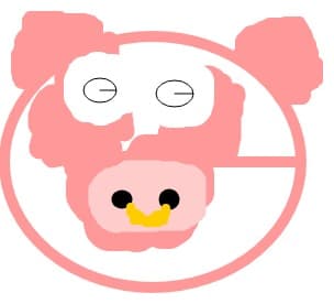 punk pork
