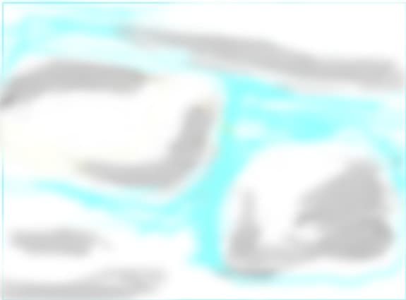 Norisori