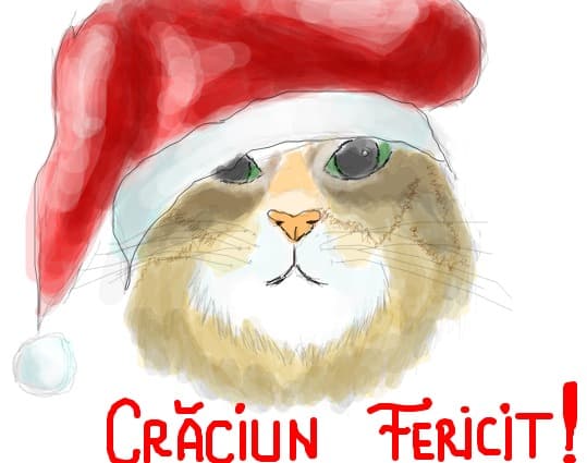 Merry Xmas everyone