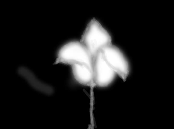 b/w flower