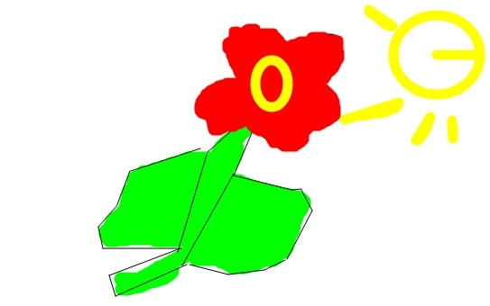 o floare