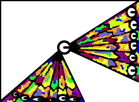 colors