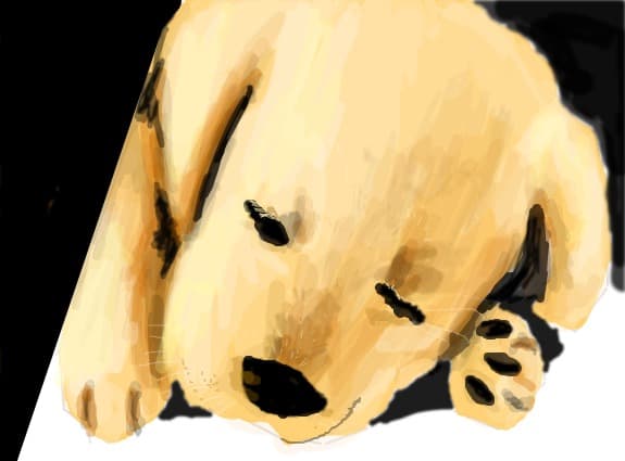 Dreaming... (bimboo si lostdrawy.)