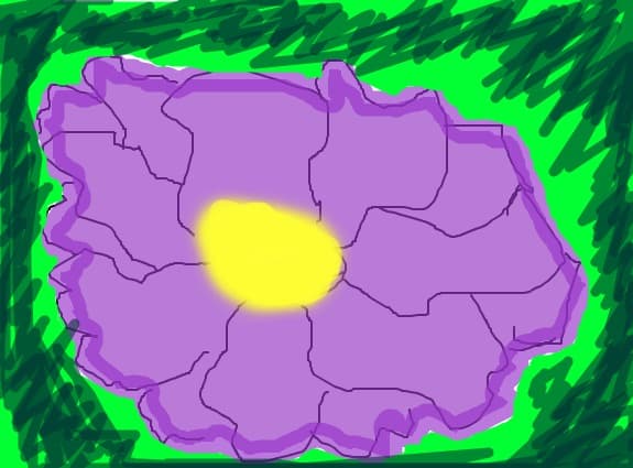 floare