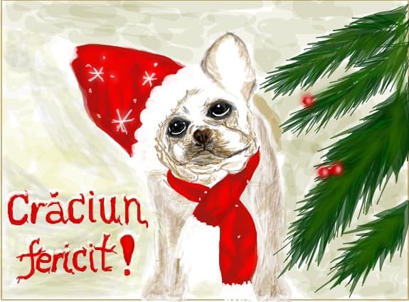 Desen 96441 continuat:craciun fericit