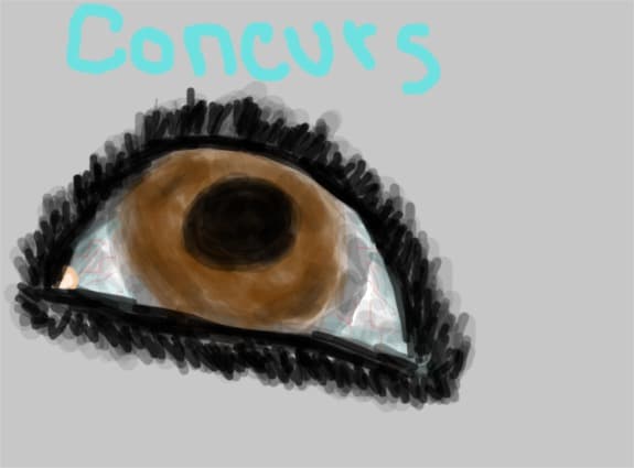 Concurs
