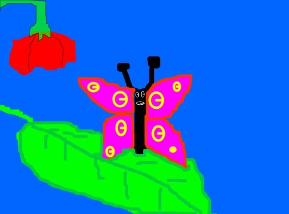 buterfly