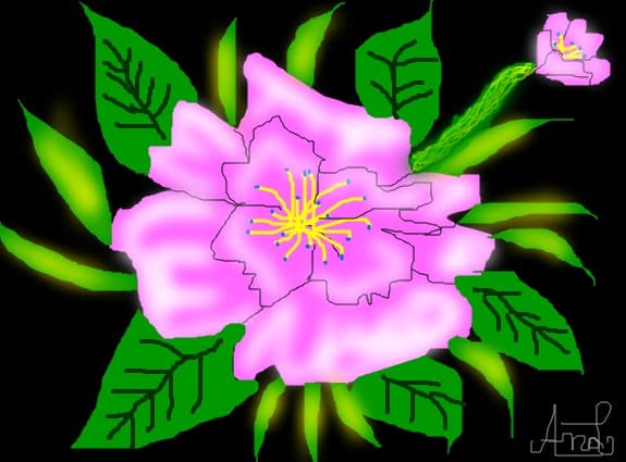 flower