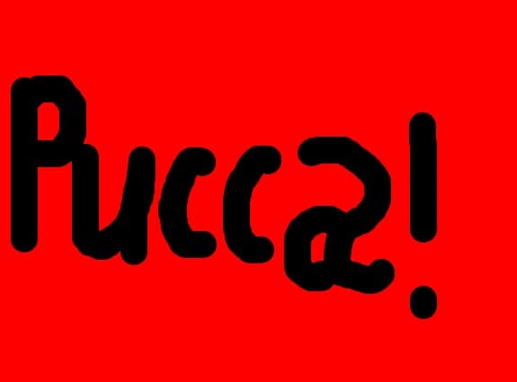pucca