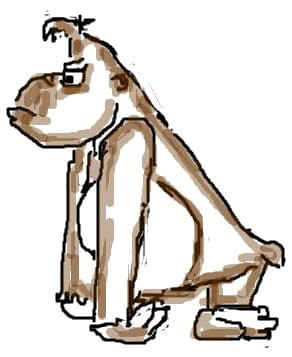 animalul meu de casa