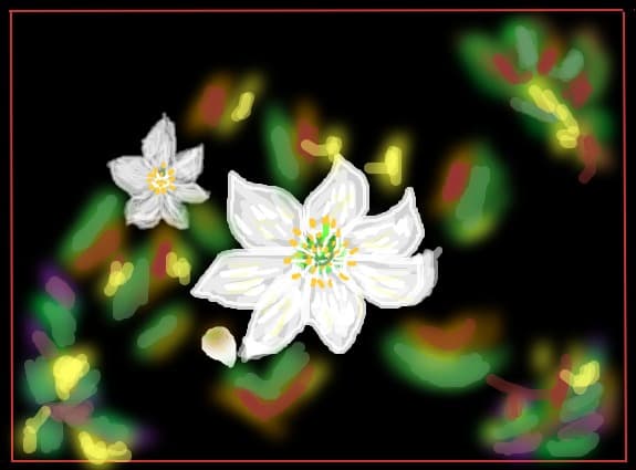 flori de munte