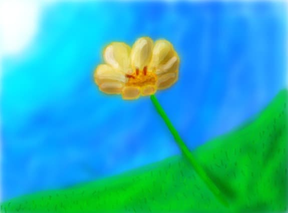 Flower